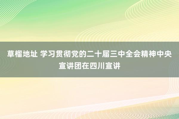 草榴地址 学习贯彻党的二十届三中全会精神中央宣讲团在四川宣讲