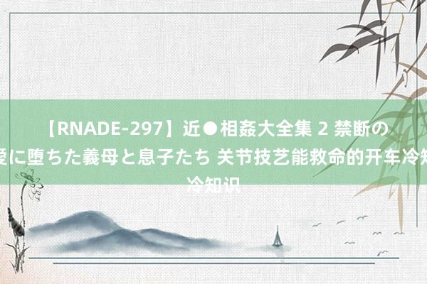 【RNADE-297】近●相姦大全集 2 禁断の性愛に堕ちた義母と息子たち 关节技艺能救命的开车冷知识