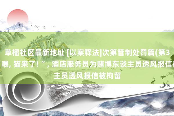 草榴社区最新地址 [以案释法]次第管制处罚篇(第39期)“喂， 猫来了! ”， 酒店服务员为赌博东谈主员透风报信被拘留