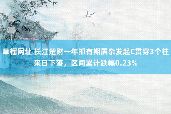 草榴网址 长江楚财一年抓有期羼杂发起C贯穿3个往来日下落，区间累计跌幅0.23%