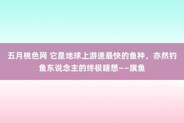 五月桃色网 它是地球上游速最快的鱼种，亦然钓鱼东说念主的终极瞎想——旗鱼