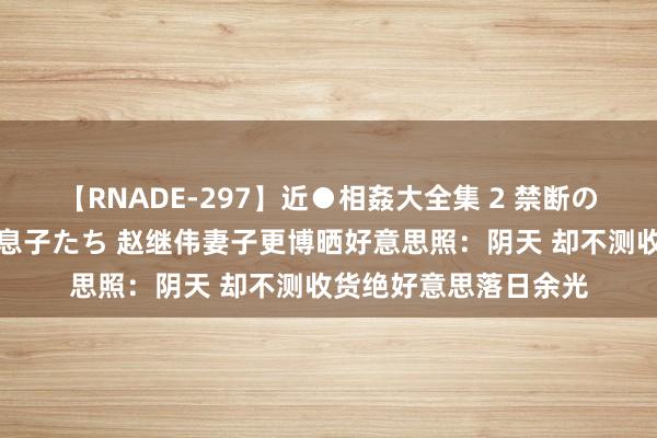 【RNADE-297】近●相姦大全集 2 禁断の性愛に堕ちた義母と息子たち 赵继伟妻子更博晒好意思照：阴天 却不测收货绝好意思落日余光