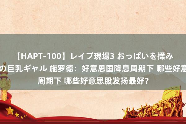 【HAPT-100】レイプ現場3 おっぱいを揉みしだかれた6人の巨乳ギャル 施罗德：好意思国降息周期下 哪些好意思股发扬最好？