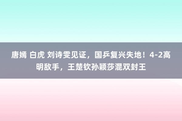 唐嫣 白虎 刘诗雯见证，国乒复兴失地！4-2高明敌手，王楚钦孙颖莎混双封王