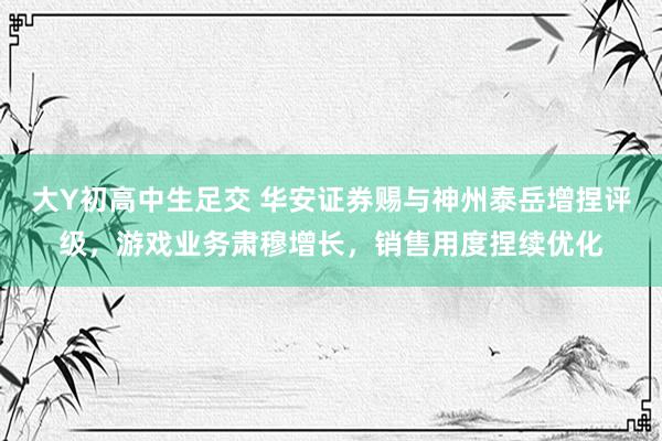 大Y初高中生足交 华安证券赐与神州泰岳增捏评级，游戏业务肃穆增长，销售用度捏续优化