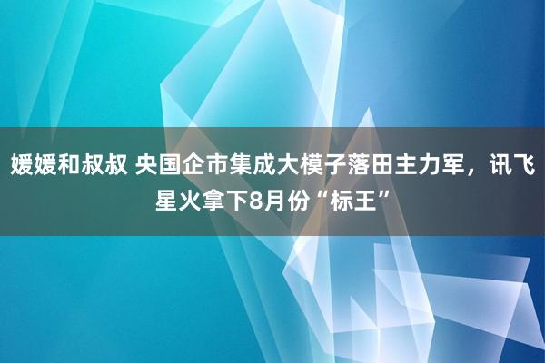 媛媛和叔叔 央国企市集成大模子落田主力军，讯飞星火拿下8月份“标王”