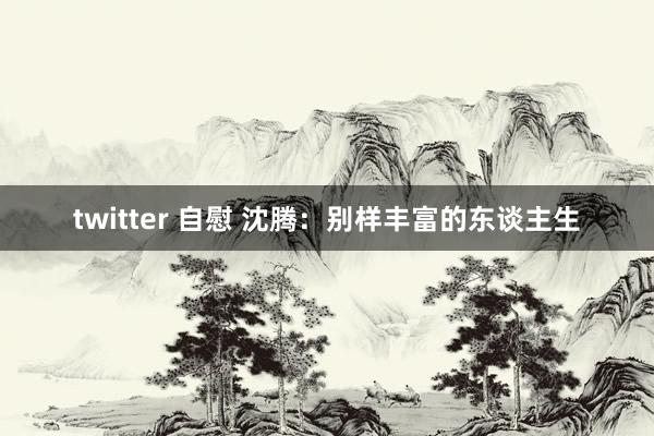 twitter 自慰 沈腾：别样丰富的东谈主生