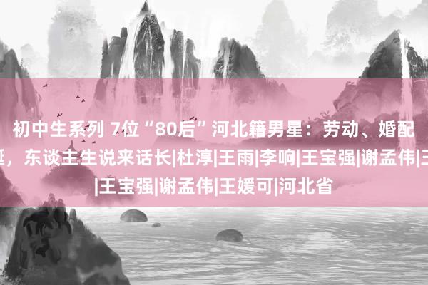 初中生系列 7位“80后”河北籍男星：劳动、婚配有落魄和蜿蜒，东谈主生说来话长|杜淳|王雨|李响|王宝强|谢孟伟|王媛可|河北省