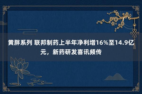 黄胖系列 联邦制药上半年净利增16%至14.9亿元，新药研发喜讯频传