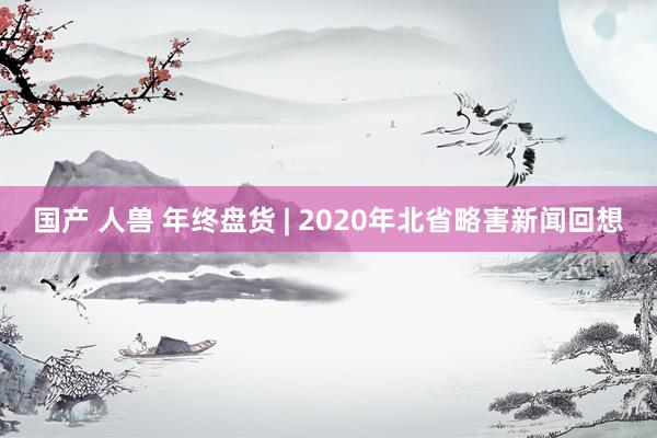 国产 人兽 年终盘货 | 2020年北省略害新闻回想