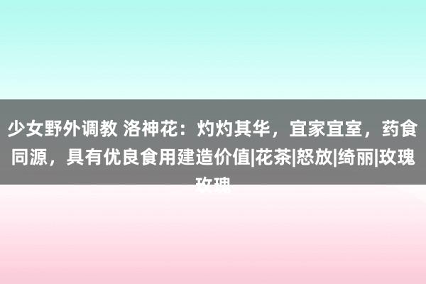 少女野外调教 洛神花：灼灼其华，宜家宜室，药食同源，具有优良食用建造价值|花茶|怒放|绮丽|玫瑰