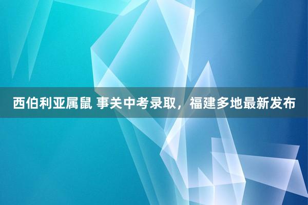 西伯利亚属鼠 事关中考录取，福建多地最新发布